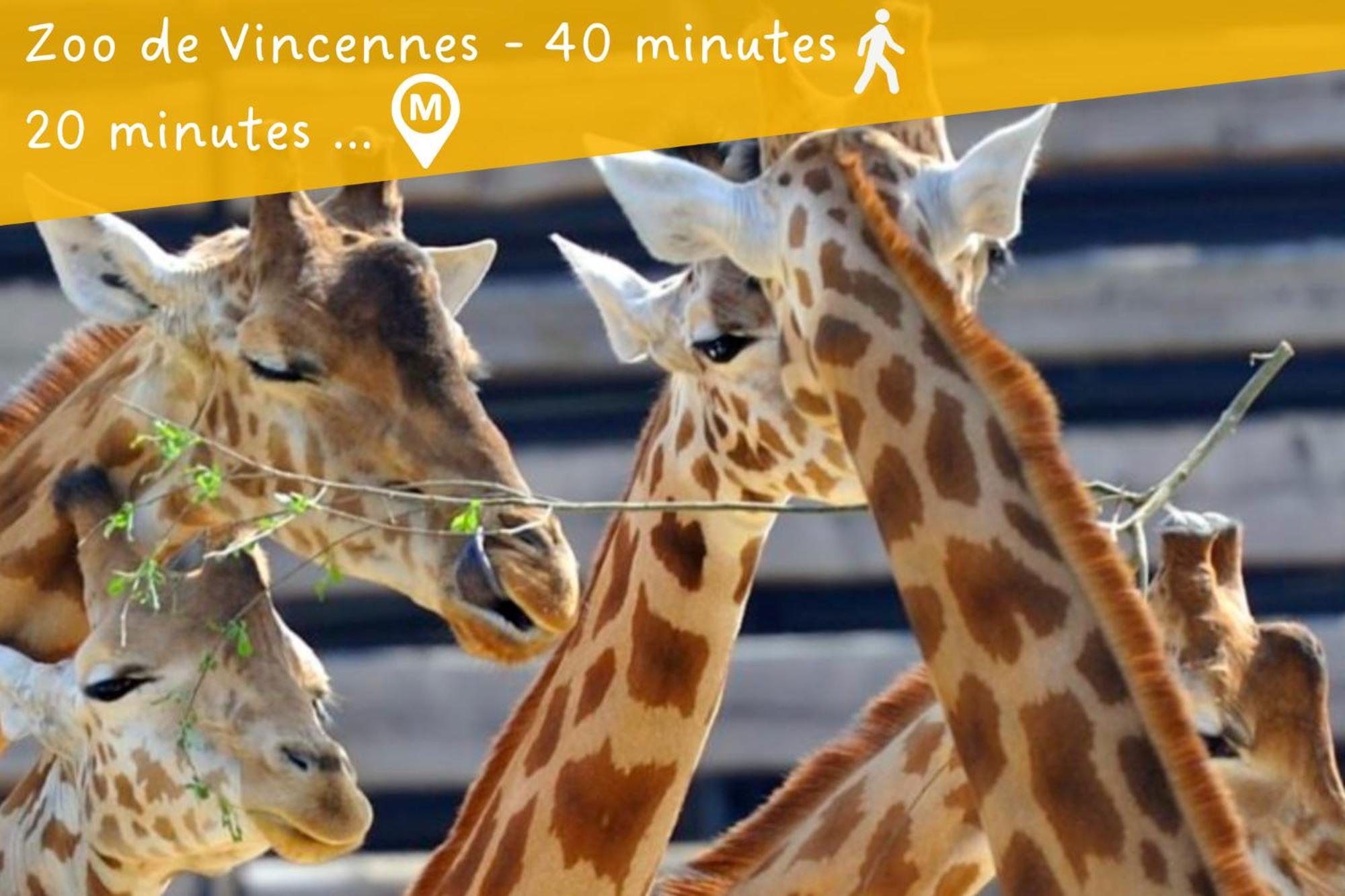 Appartement Entier Calme - Parking Free - Proche Paris Et Chateau - Wifi Hd Vincennes Esterno foto